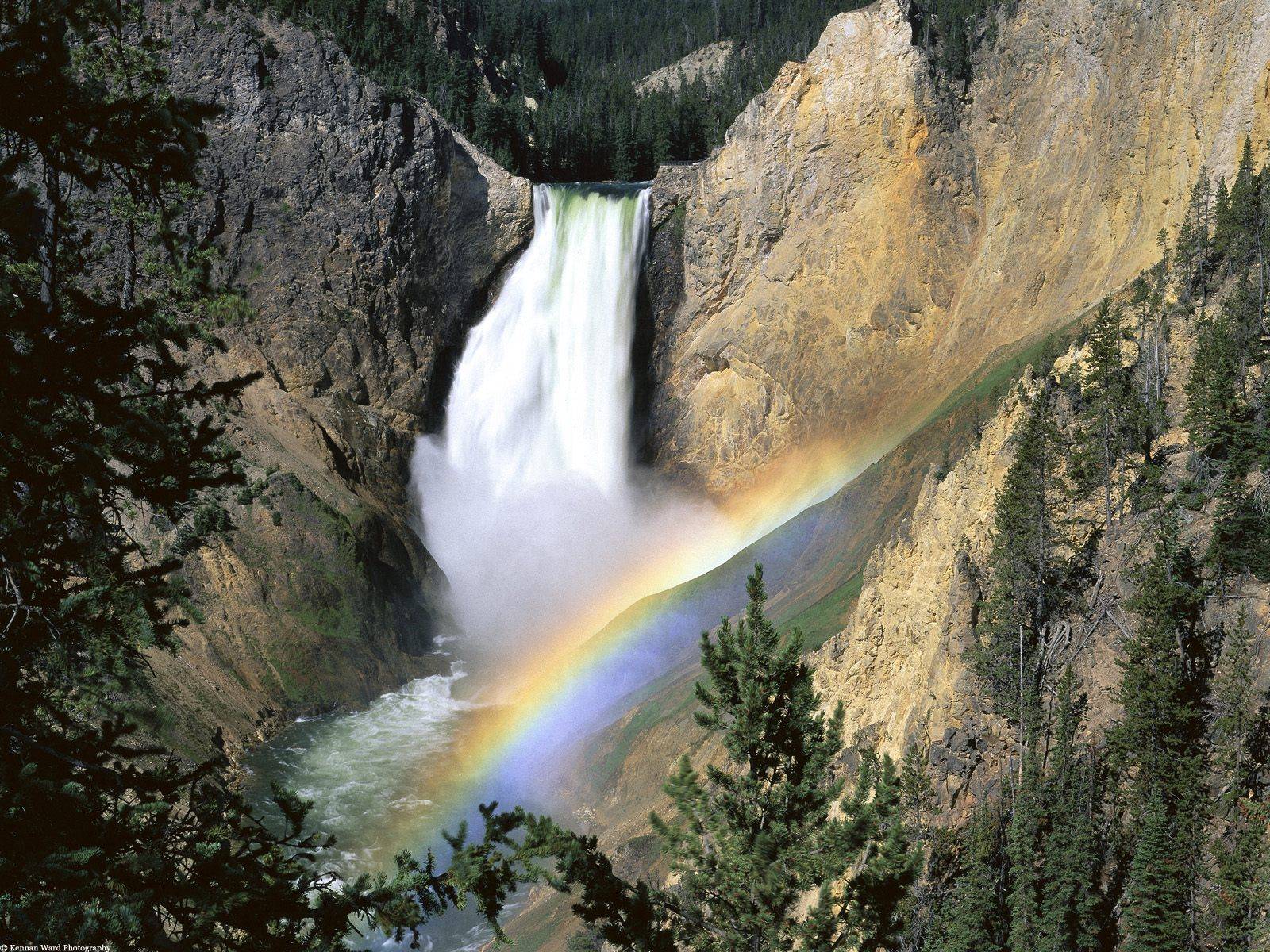 Yellowstone National Park Cool Pictures